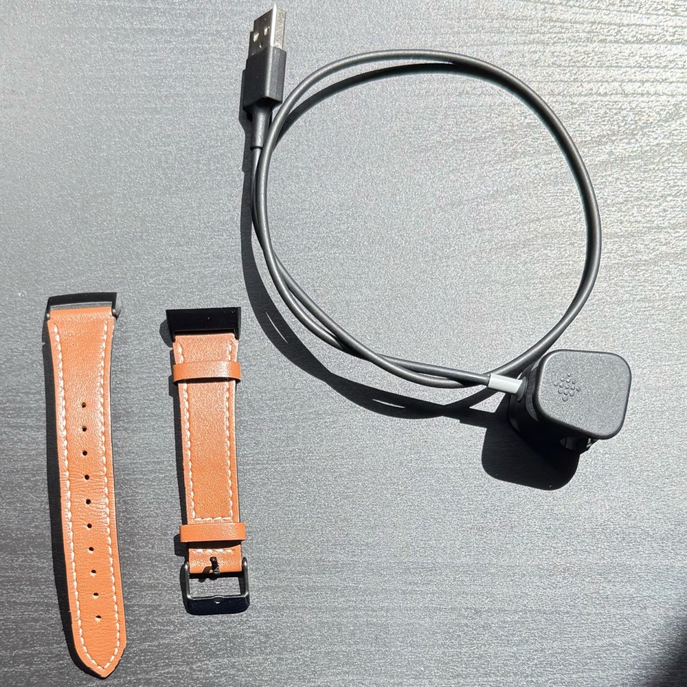 Brown Leather Charge 3/ Fitbit Charge 4/ Charge3 SE Fitbit Band with Charger
